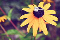 Heather+Mike-2nd-56-Edit