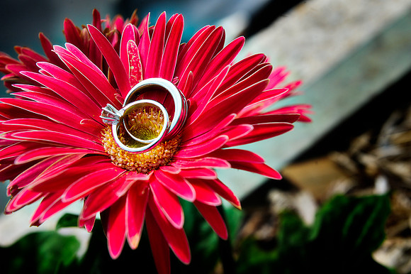Melissa+Allen-WeddingDay-151-Edit