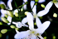 Liz+Brent-WeddingDay-2-3-Edit