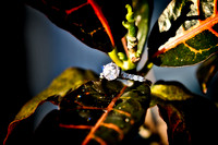 Liz+Brent-WeddingDay-2-24-Edit