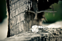 Heather+Mike-2nd-42-Edit