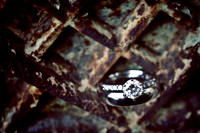 Liz+Brent-WeddingDay-2-28-Edit