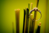 Vanessa+Tim-Wedding-26-Edit
